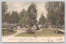 View in Lawton Park, Flower Garden, Fort Wayne IN Indiana 1906 Antique Postcard picture