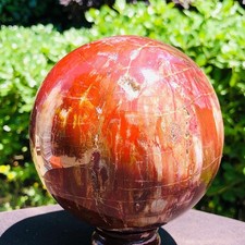 4.09LB Natural petrified wood crystal fossil ball shaped mineral specimen picture