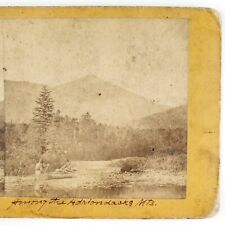 Adirondack Mountains New York Stereoview c1874 Rowing Boat Down River Card A2674 picture