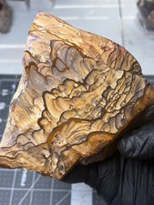 Rare Blue Biggs Picture Jasper Faced Polished Specimen AAA Quality Mountains  picture