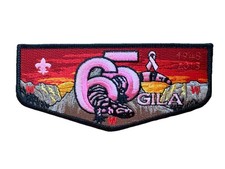 OA 378 Gila 65 years Anniversary Breast Cancer Awareness Flap BSA picture