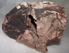 Large 9 Lb 7 oz Petrified Wood  North Eastern AZ w/Large Void for Display picture