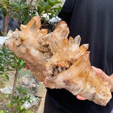 13LB A++Large Natural clear white Crystal Himalayan quartz cluster /mineralsls picture