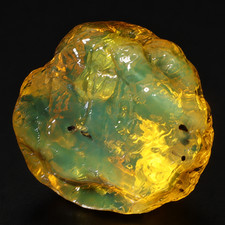 Raw Beauty Clear Olive Green Dominican Amber Natural Specimen 30mm 9.2g picture