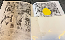 Cavewoman Cover Gallery 3 Variant Cover Budd Root Basement Comics No Clothes picture