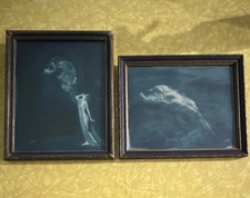 Antique Edward S Curtis 1920 blue silver gelatin, photo pair batwing frame art.￼ picture