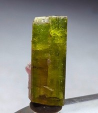 Saturated Top Quailty Stepwise Bi-Colour Tourmaline Crystal From Afghnistan picture