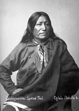 Chief Spotted Tail PHOTO Portrait Brule Lakota Indian Warrior Native American picture