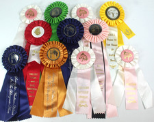 Lot Of 11 Horse Show Ribbons.  Mostly Arabian Horses and Associations. See Pics. picture
