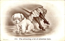 Vintage Postcard- H.H.T. - puppy- 3594. I'm attracting a lot of attention here. picture