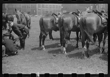 Photo:Chicago Illinois 1941 Policemen Horse Mounted Police Training picture