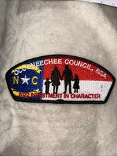 MINT CSP Occoneechee Council North Carolina SA-? FOS 2022 picture