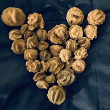 20+ Oklahoma Rose Rock Collection Stocking Stuffer Gift Mini Museum Quality Nice picture