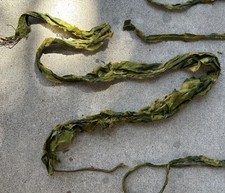 ORIG 18 Yards WWII US Army Parachute Paracord Surrounded by Camo Chute Remnants picture