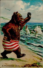 Raphael Tuck & Sons Postcard Little Bears A Morning Dip 1907 Postmark Stamped picture