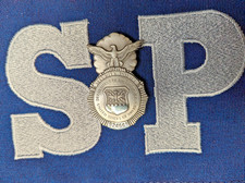 Vintage Small Size USAF United States Air Force Security Police Pinback Badge picture