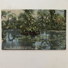 Antique View In Botanical Building-Panama California Expo San Diego Postcard picture