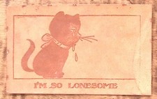 1907 CUTE KITTEN CRYING-I'M SO LONESOME MILWAUKEE WI LEATHER POSTCARD P2542 picture
