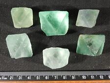 BIG LOT of SIX 100% Natural  GREEN FLUORITE Octahedron Crystals 205gr picture