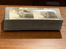 Lot of 26 Keystone ANIMAL views picture