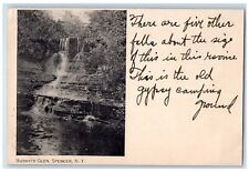 c1905 Scenic View Of Burhyte Glen Waterfalls Spencer New York NY Postcard picture